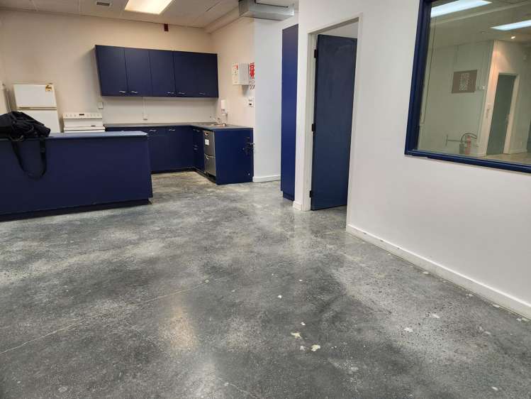 1/16 Kent Terrace Mt Victoria_6