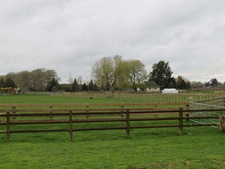 296a Pickering Road Tamahere_17