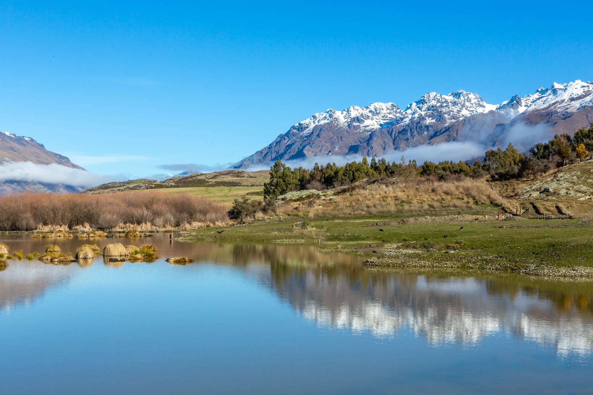 9 Centurion Court Jack's Point_0