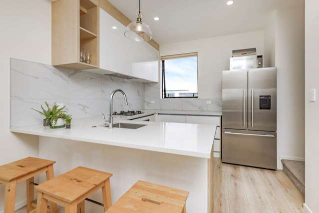 31b Murphys Park Drive Flat Bush_2