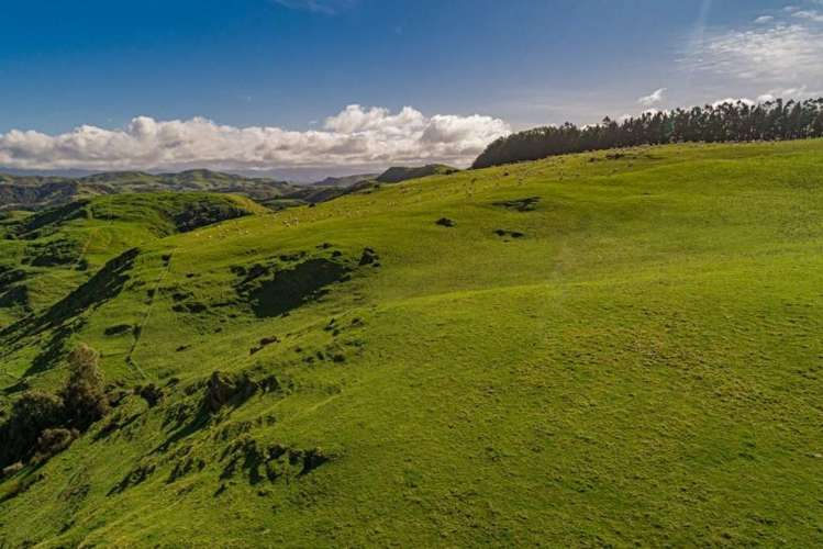 134 Bowen Road Eketahuna_11