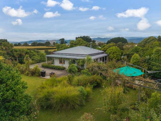 Tropical Lifestyle Meets Timeless 1910s Charm