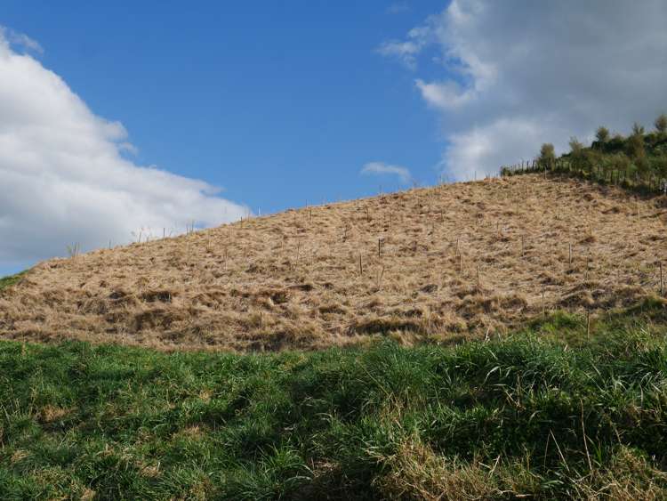 Taihape Road Sherenden_5