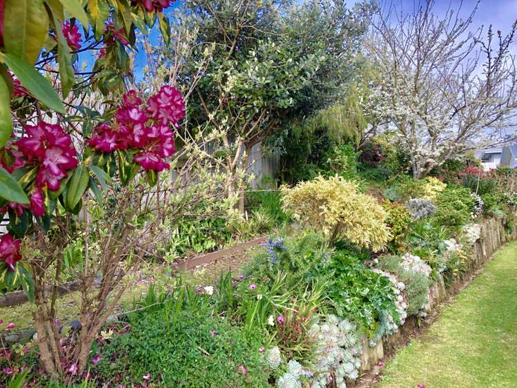 2/107 Carlton Street Te Awamutu_10