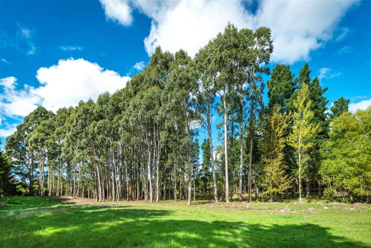 107 Langdales Road West Melton_28