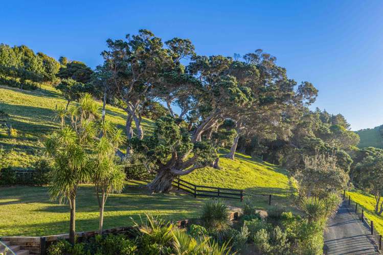 39A Landowners Lane Tutukaka_4