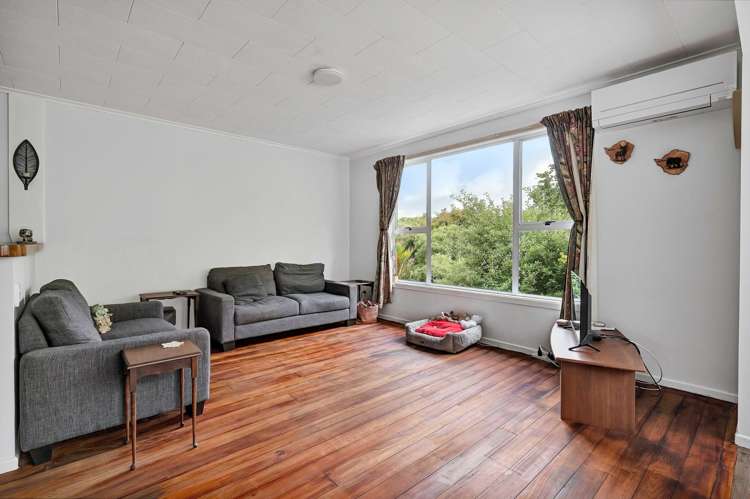 188 Huatoki Street Upper Vogeltown_7