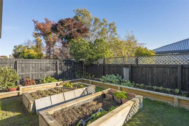 4 Willis Place Renwick_18