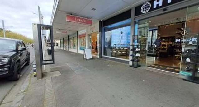 100 Ponsonby Road Grey Lynn_2