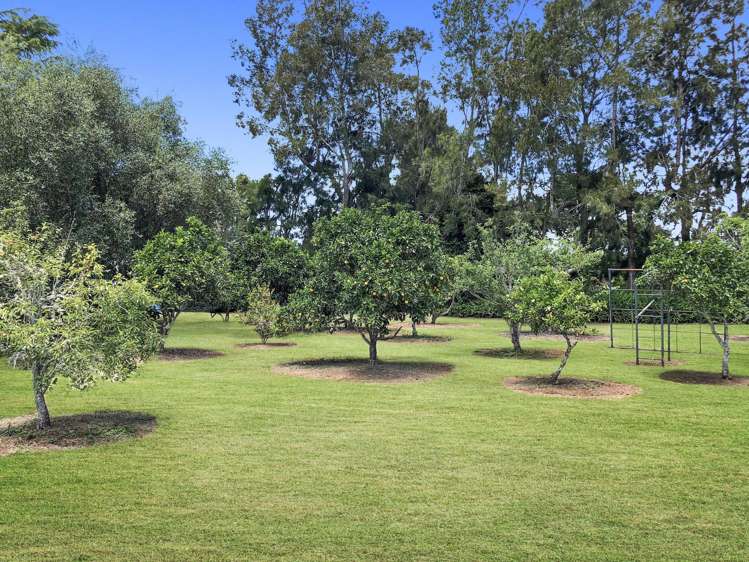 217 Pungaere Road Kerikeri Surrounds_9