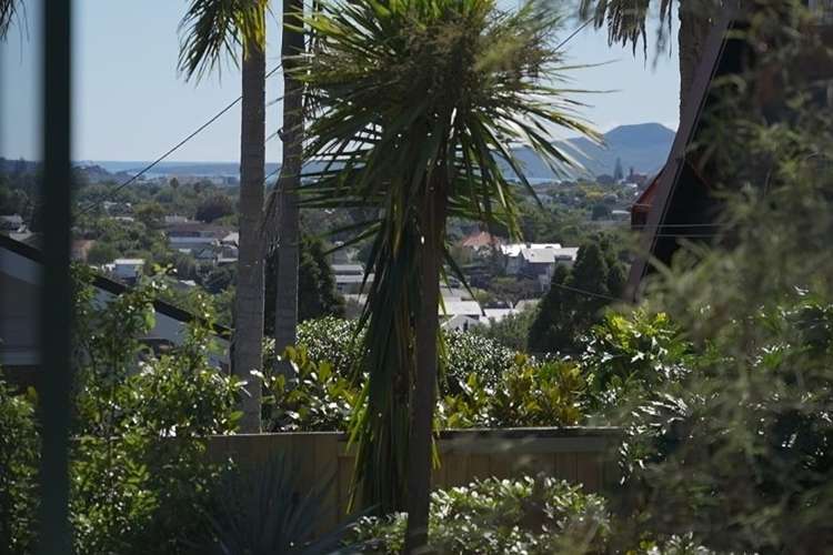 18 Landscape Road Mount Eden_8