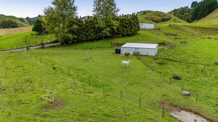 210 Standish Road Toko_5