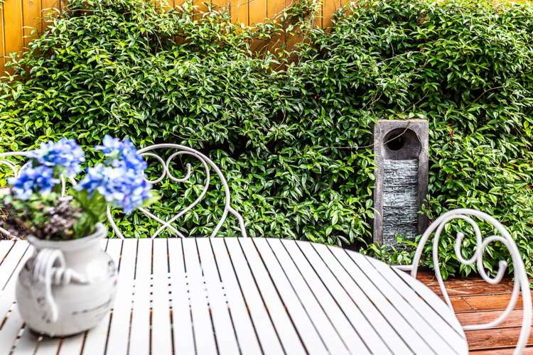 22 Bounty Road Long Bay_30