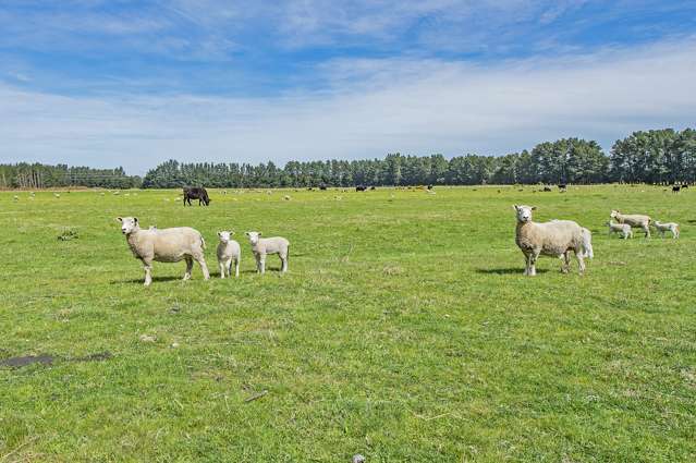 Weedons Ross Road West Melton_3