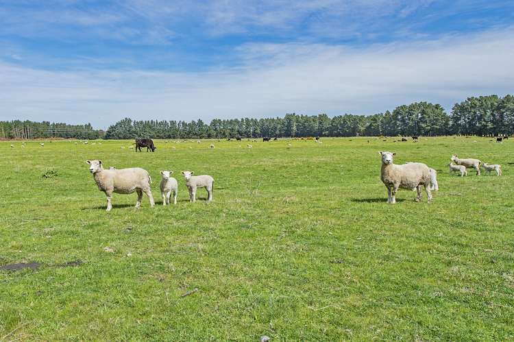 Weedons Ross Road West Melton_3