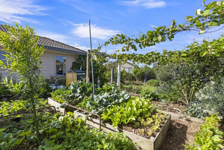 10 Lutana Place Pakuranga Heights_6