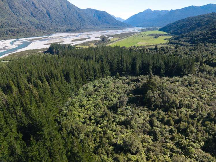 Bell Hill Road Inchbonnie_15