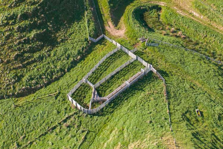 2/230 Clyde Road Burnside_13