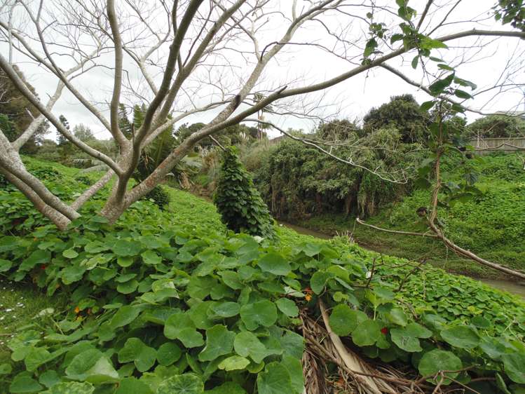 45 Pukepoto Road Kaitaia_29