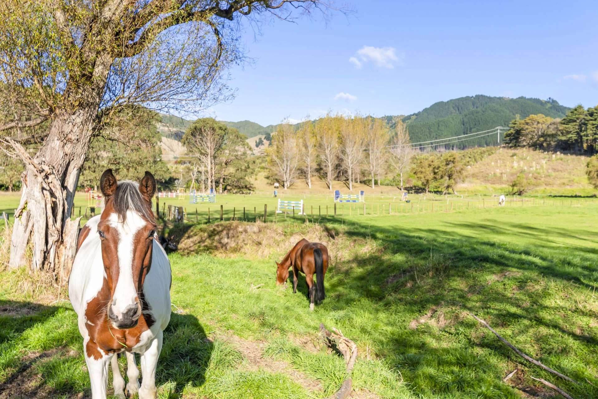84 Derham Road Te Horo_0