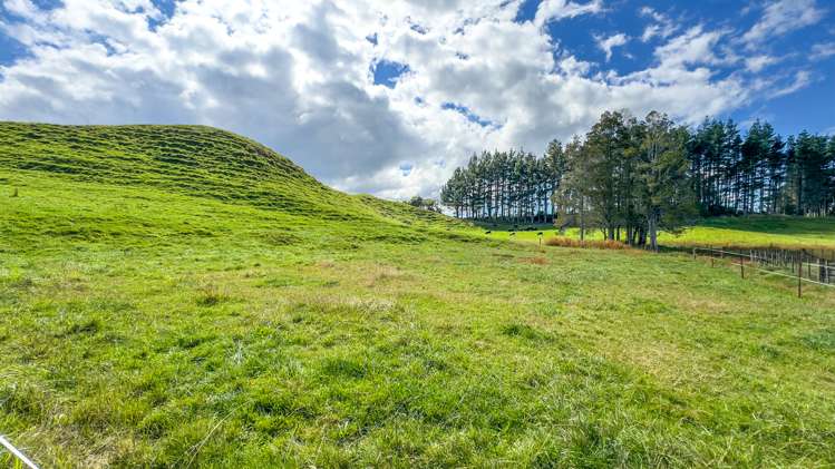 17 Franklin Road Waihi_6