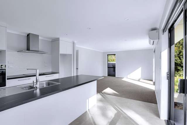 99A Tuhikaramea Road Dinsdale_3
