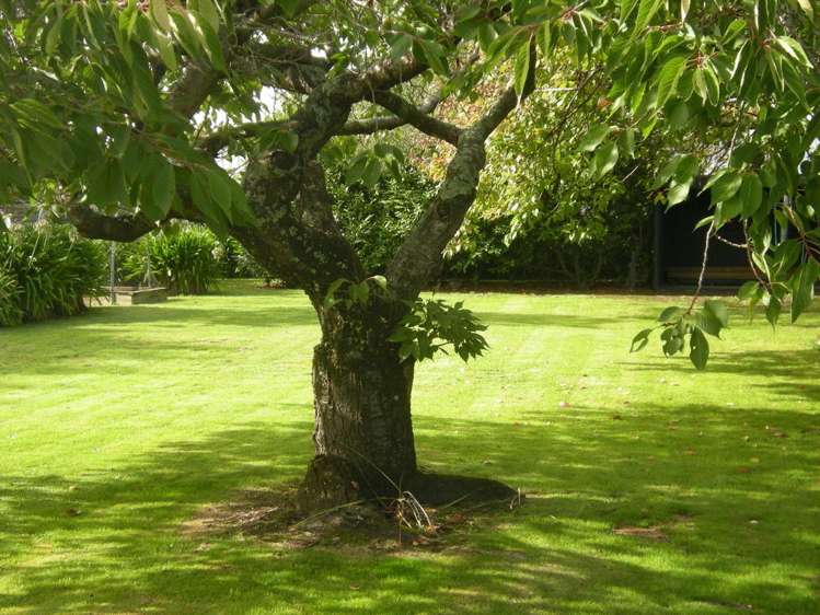 46 Pennington Street Leeston_11