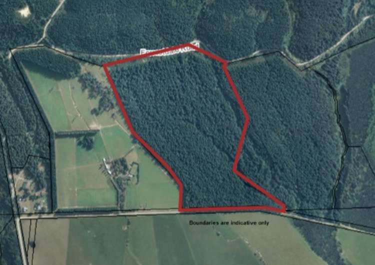 423 Hayland Road Okuku_0