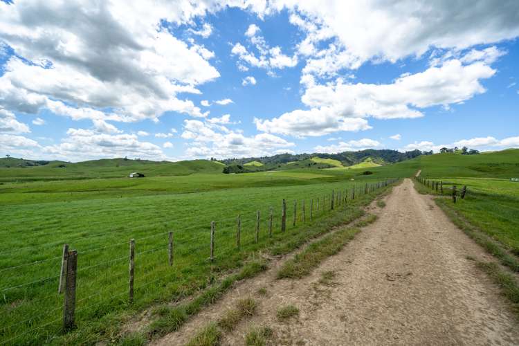 360 Manuel Road Tauhei_13