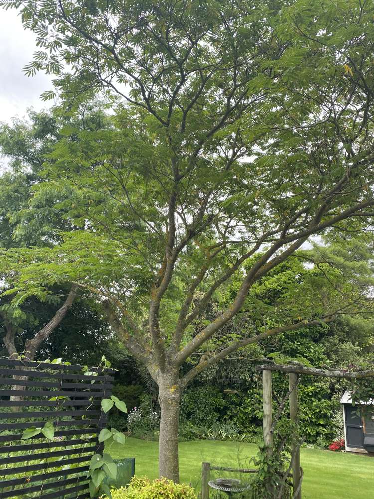 96 Middle Road Allenton_51