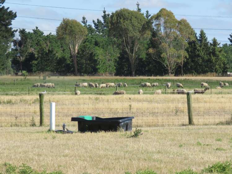 1298 Stanley Road Elgin_25