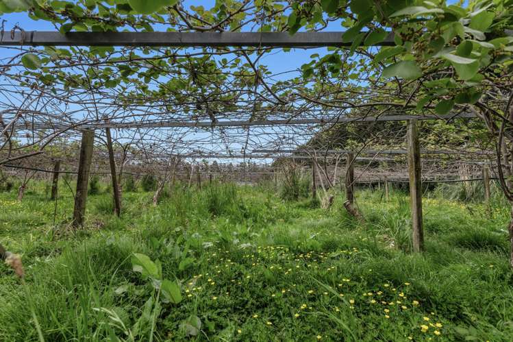 37 Selwyn Road Poroporo_6