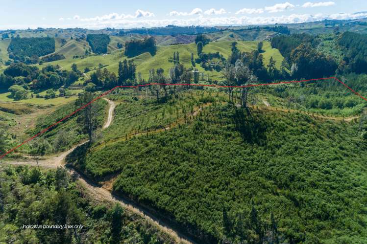 219 Lloyd Valley Road Thorpe_18