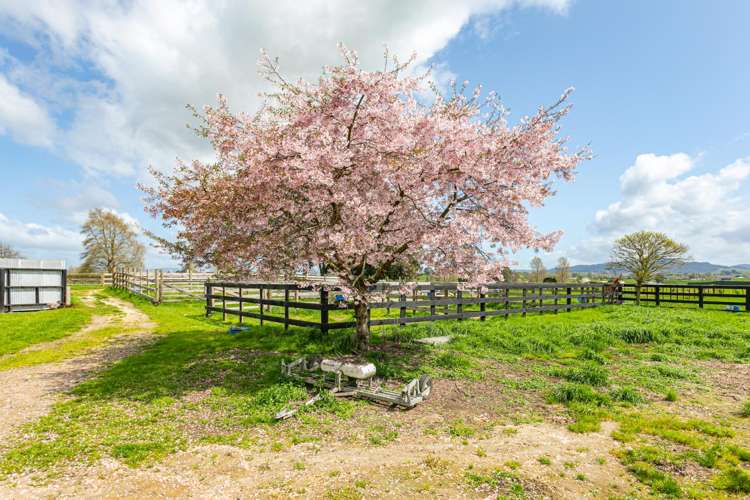 320 Hinuera Road Matamata_24