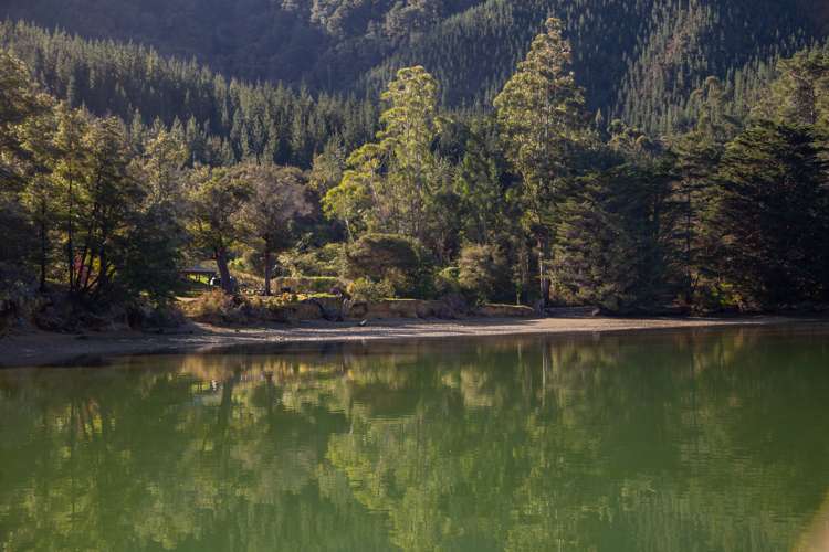 7098 Kenepuru Road Kenepuru Sound_15