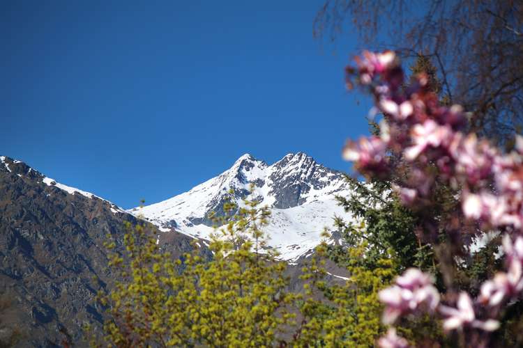 3 Hood Crescent Arrowtown_19