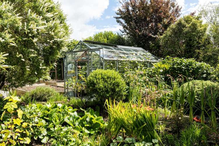 246 Talbot Street Geraldine_8