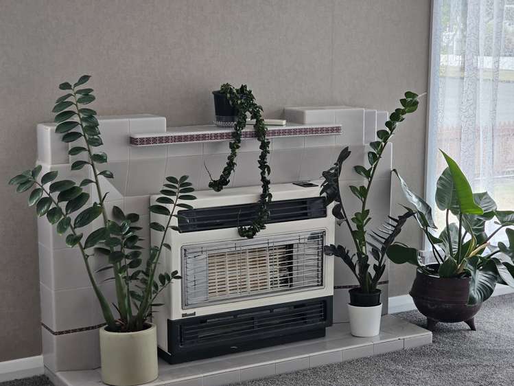 18 Duke Street Levin_9