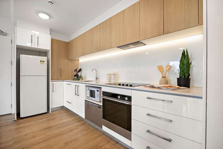 01/189g Barbarich Drive Stonefields_7