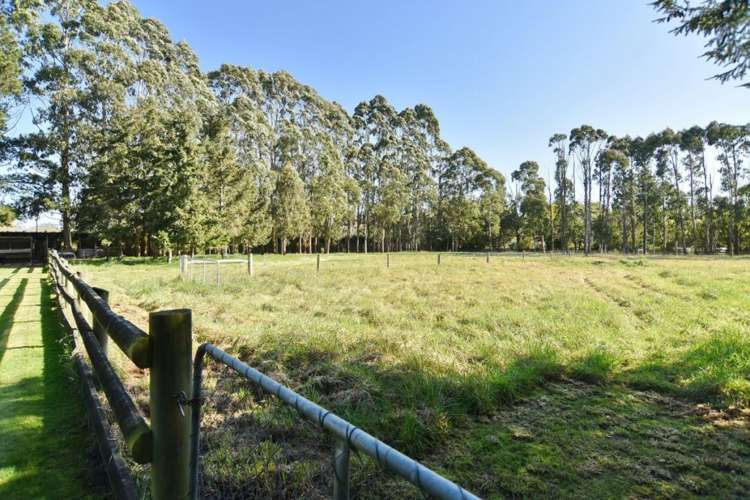 109 Mchughs Road Swannanoa_14