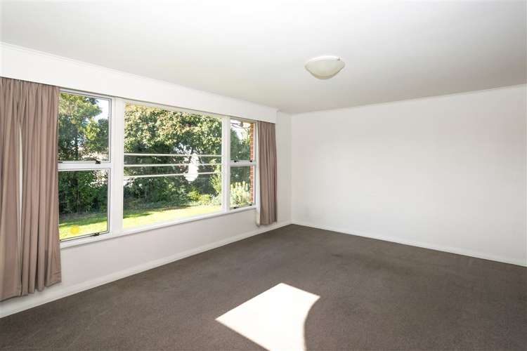 62 Lee Street Blenheim Central_9