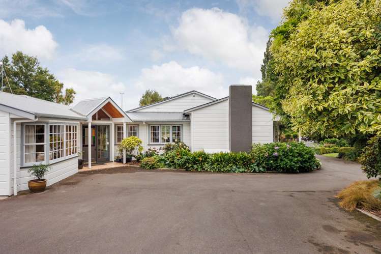 36 Forest Hill Road Aokautere_46