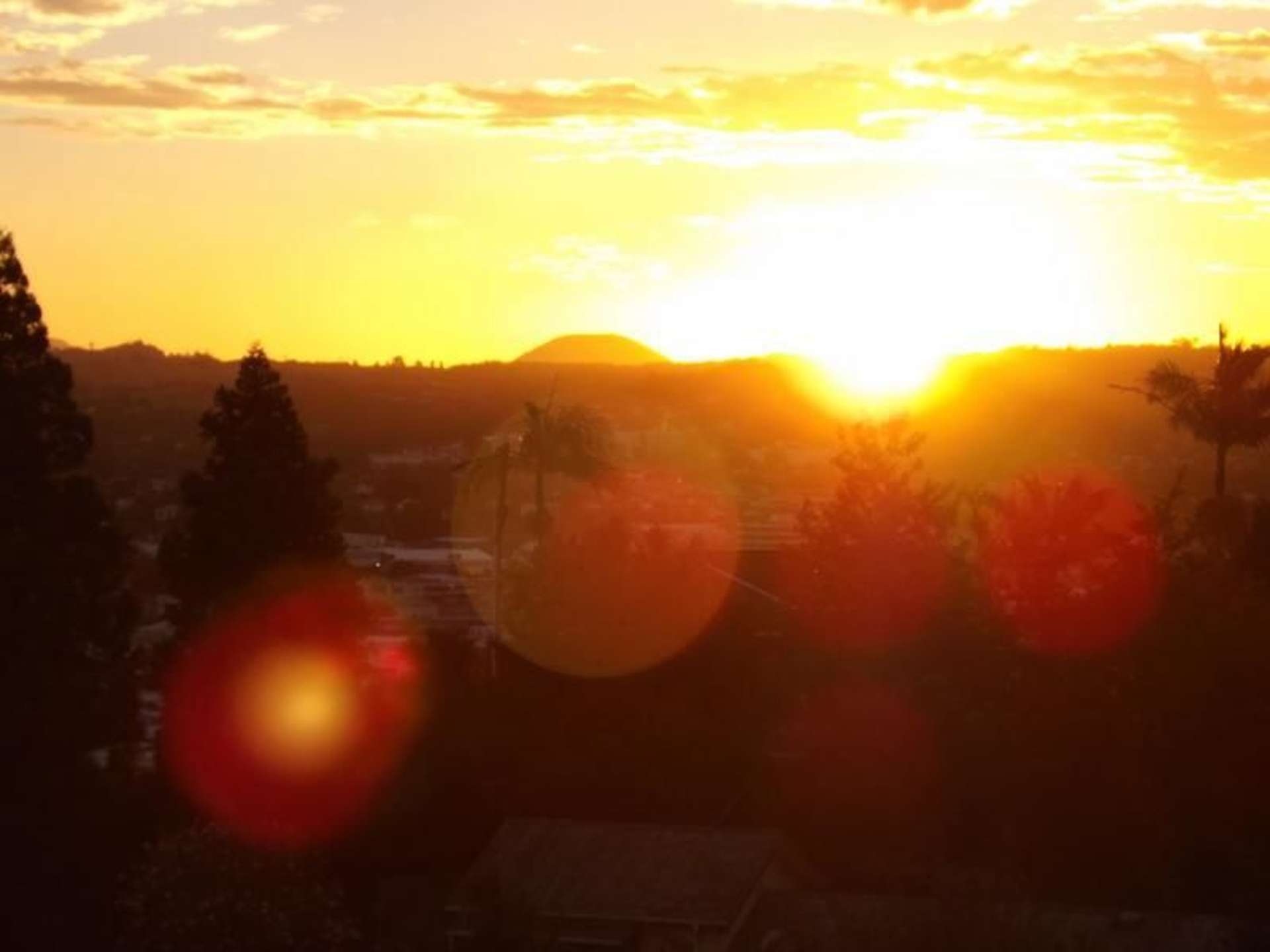 35 Punga Grove Avenue Riverside_0