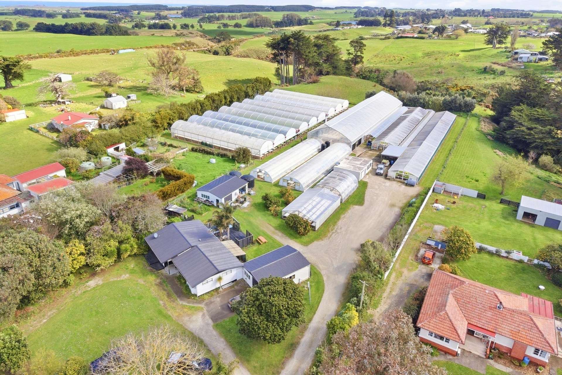 16 Lupton Street Waverley_0