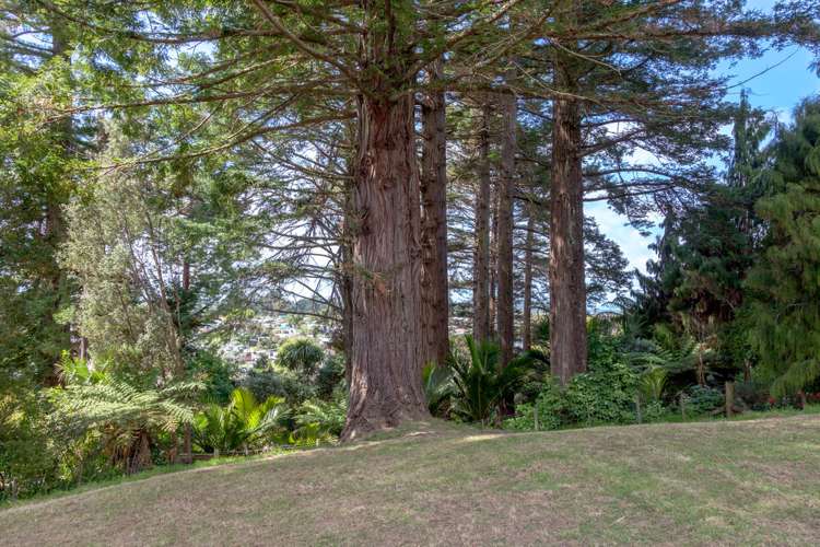 111a Chevron Crescent Whangamata_10