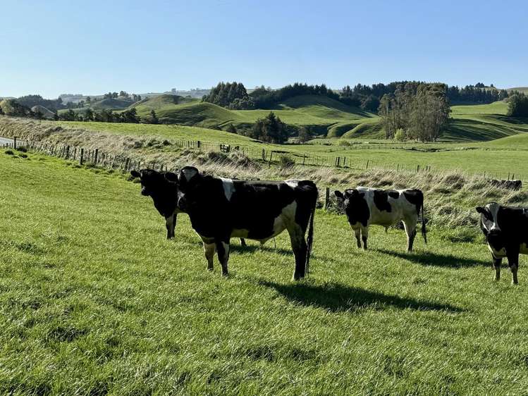 515 Ruanui Road Taihape_22