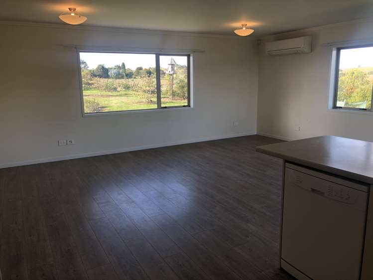 166e Postman Road Dairy Flat_11