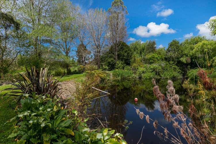 52 Robinson Road Coatesville_11