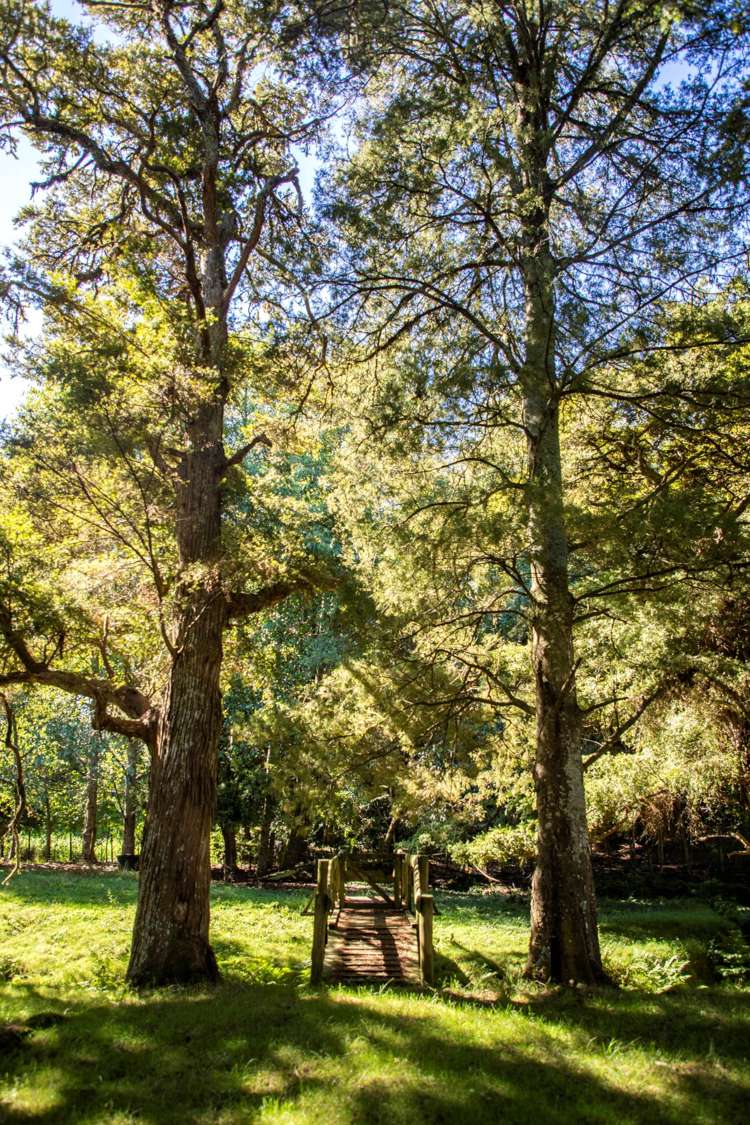 145b Helenslee Road Pokeno_23