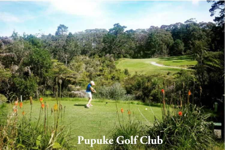 69 Kowhai Road Mairangi Bay_36